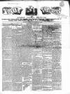 Kerry Examiner and Munster General Observer Tuesday 01 August 1848 Page 1
