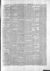 Waterford Chronicle Friday 29 November 1867 Page 3