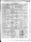 Wexford Independent Wednesday 28 January 1863 Page 3