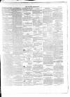 Wexford Independent Saturday 09 May 1863 Page 3