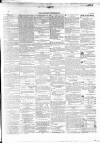Wexford Independent Wednesday 20 May 1863 Page 3