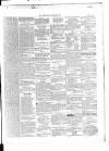 Wexford Independent Wednesday 14 October 1863 Page 3