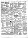 Wexford Independent Wednesday 27 April 1864 Page 3