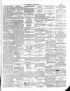 Wexford Independent Saturday 11 November 1865 Page 3