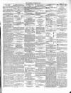 Wexford Independent Saturday 30 January 1869 Page 3