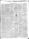Wexford Independent Wednesday 12 May 1869 Page 3