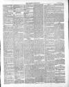 Wexford Independent Wednesday 19 March 1873 Page 3