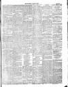 Wexford Independent Saturday 13 June 1874 Page 3