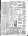 Wexford Independent Wednesday 15 July 1874 Page 3