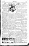 Sunday Mirror Sunday 01 August 1915 Page 19