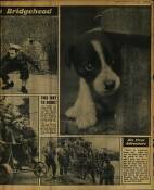 Sunday Mirror Sunday 06 February 1944 Page 9