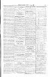 Waterford Mail Saturday 19 June 1858 Page 5