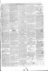 Wexford Conservative Saturday 24 November 1832 Page 3