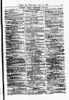 Lloyd's List Wednesday 19 June 1878 Page 19