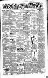 Newcastle Chronicle Saturday 10 June 1865 Page 1