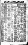 Newcastle Chronicle Saturday 24 January 1880 Page 1