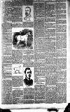 Newcastle Chronicle Saturday 29 January 1887 Page 7