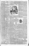 Newcastle Chronicle Saturday 11 January 1890 Page 13