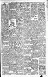Newcastle Chronicle Saturday 05 September 1891 Page 5