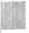 Dorking and Leatherhead Advertiser Saturday 19 March 1887 Page 3