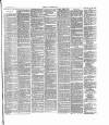 Dorking and Leatherhead Advertiser Saturday 19 March 1887 Page 7
