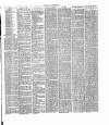 Dorking and Leatherhead Advertiser Saturday 02 April 1887 Page 3