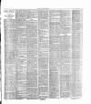 Dorking and Leatherhead Advertiser Saturday 09 April 1887 Page 3