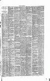 Dorking and Leatherhead Advertiser Saturday 23 April 1887 Page 7