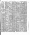 Dorking and Leatherhead Advertiser Saturday 07 May 1887 Page 3