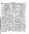 Dorking and Leatherhead Advertiser Saturday 14 May 1887 Page 7