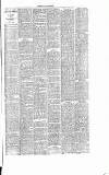 Dorking and Leatherhead Advertiser Saturday 28 May 1887 Page 7