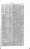 Dorking and Leatherhead Advertiser Saturday 04 June 1887 Page 3