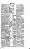 Dorking and Leatherhead Advertiser Saturday 04 June 1887 Page 5