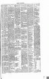 Dorking and Leatherhead Advertiser Saturday 11 June 1887 Page 5
