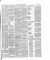 Dorking and Leatherhead Advertiser Saturday 18 June 1887 Page 5