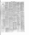 Dorking and Leatherhead Advertiser Saturday 25 June 1887 Page 7