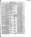 Dorking and Leatherhead Advertiser Saturday 06 August 1887 Page 5