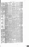 Dorking and Leatherhead Advertiser Saturday 20 August 1887 Page 5