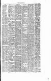 Dorking and Leatherhead Advertiser Saturday 29 October 1887 Page 3