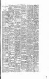 Dorking and Leatherhead Advertiser Saturday 29 October 1887 Page 7