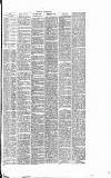 Dorking and Leatherhead Advertiser Saturday 05 November 1887 Page 3