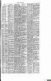 Dorking and Leatherhead Advertiser Saturday 12 November 1887 Page 3