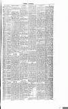 Dorking and Leatherhead Advertiser Saturday 12 November 1887 Page 5