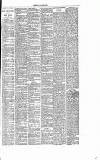 Dorking and Leatherhead Advertiser Saturday 26 November 1887 Page 7