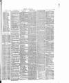 Dorking and Leatherhead Advertiser Saturday 03 December 1887 Page 3