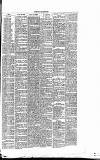 Dorking and Leatherhead Advertiser Saturday 17 December 1887 Page 3