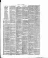 Dorking and Leatherhead Advertiser Saturday 31 December 1887 Page 3