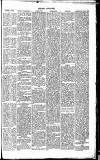 Dorking and Leatherhead Advertiser Saturday 07 January 1888 Page 5