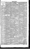 Dorking and Leatherhead Advertiser Saturday 07 January 1888 Page 7