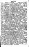 Dorking and Leatherhead Advertiser Saturday 17 March 1888 Page 5